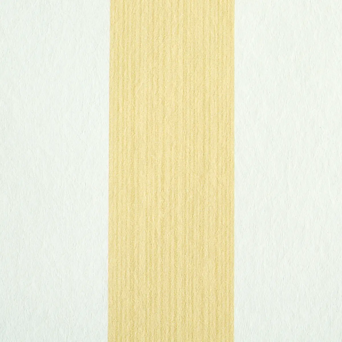 EDWIN STRIPE MEDIUM_ BUTTERCUP