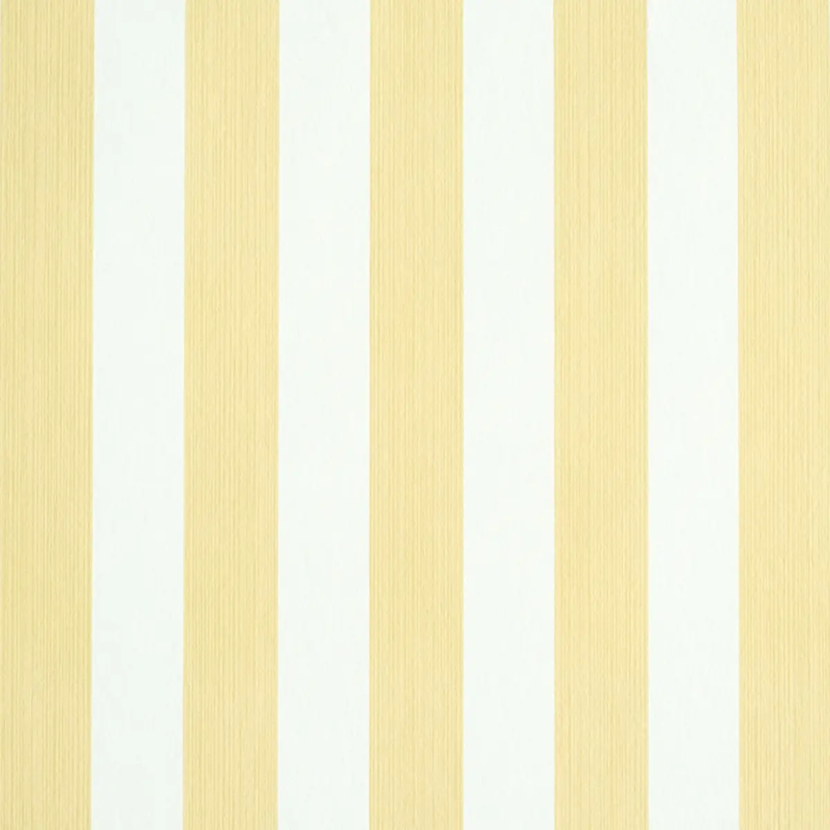 EDWIN STRIPE MEDIUM_ BUTTERCUP