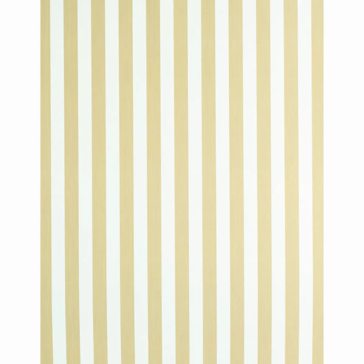 EDWIN STRIPE MEDIUM_ SAND