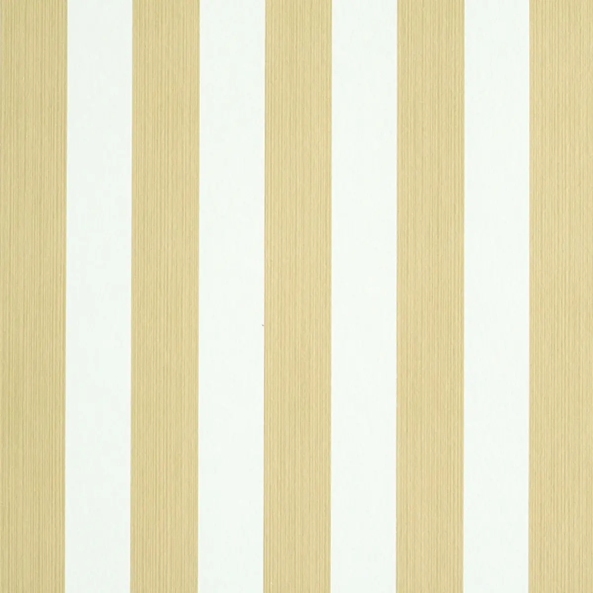 EDWIN STRIPE MEDIUM_ SAND