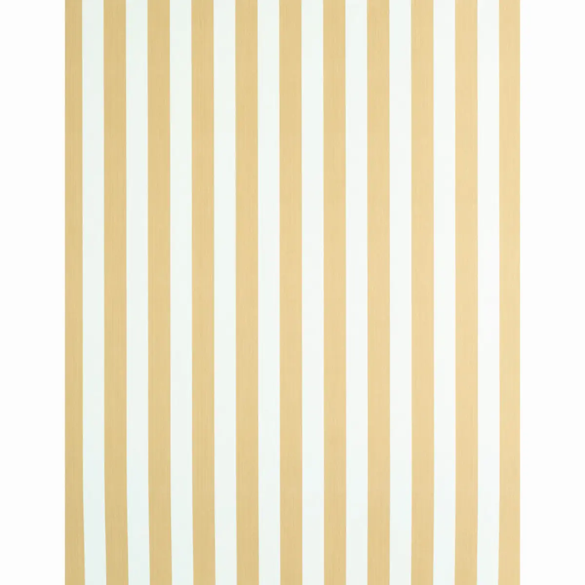 EDWIN STRIPE MEDIUM_ WHEAT
