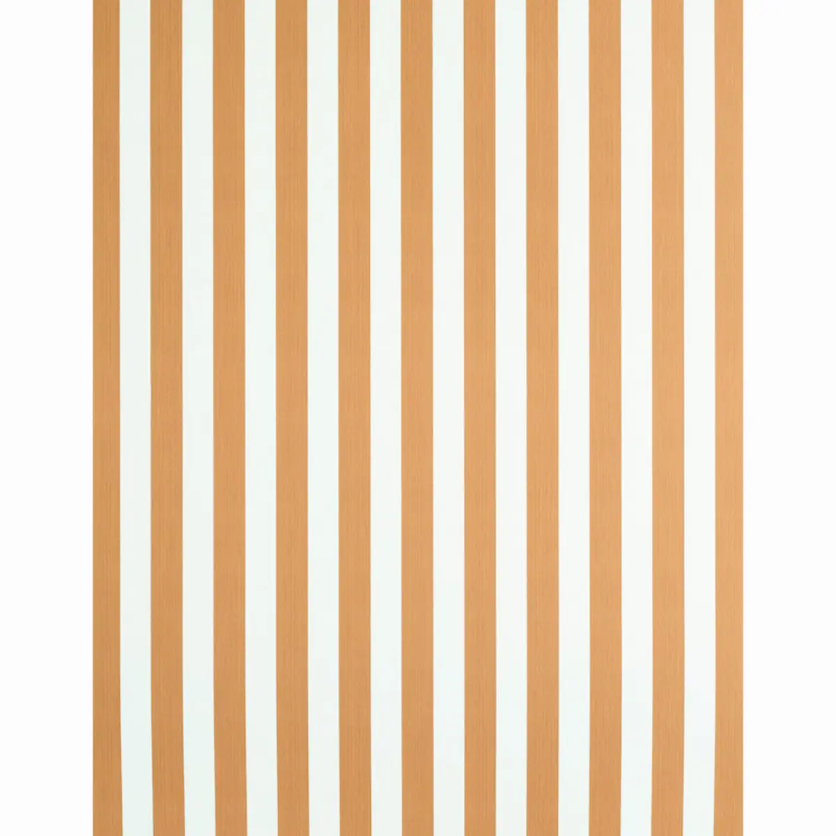 EDWIN STRIPE MEDIUM_ BUTTERNUT