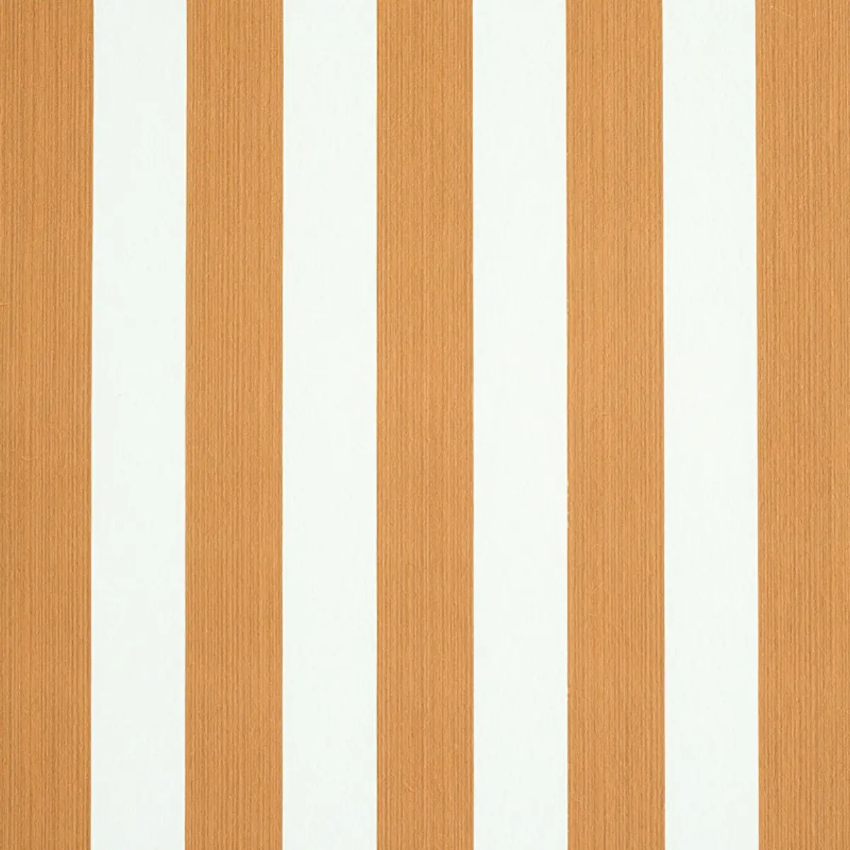 EDWIN STRIPE MEDIUM_ BUTTERNUT