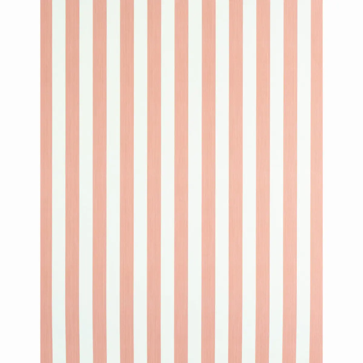 EDWIN STRIPE MEDIUM_ PINK