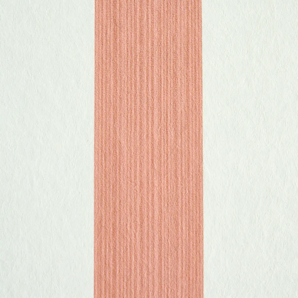 EDWIN STRIPE MEDIUM_ PINK