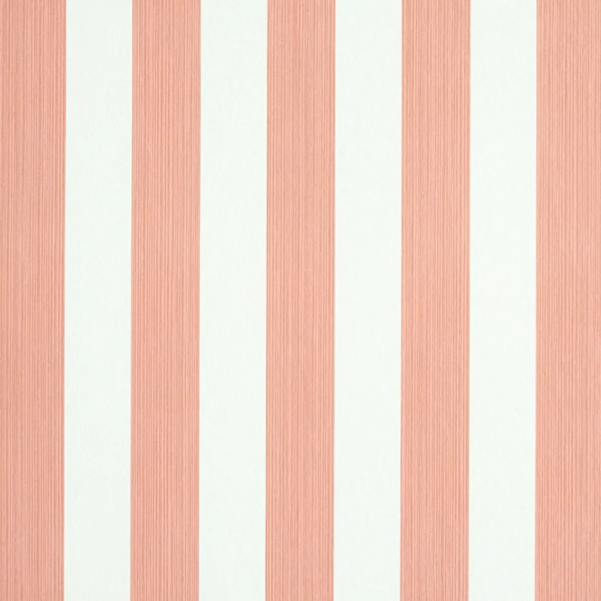 EDWIN STRIPE MEDIUM_ PINK