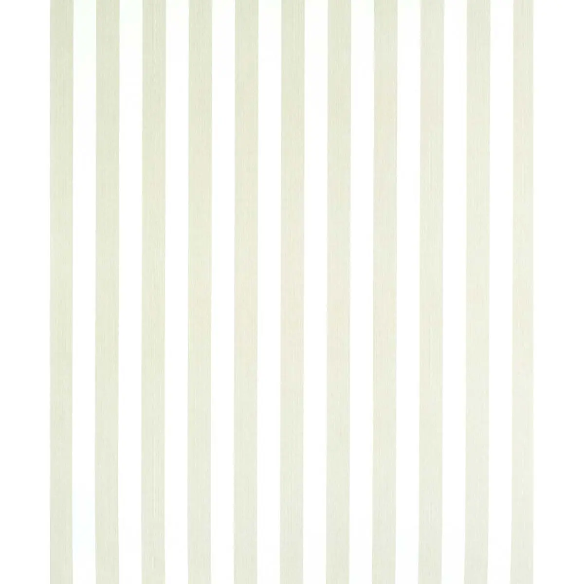 EDWIN STRIPE MEDIUM_ NATURELLE