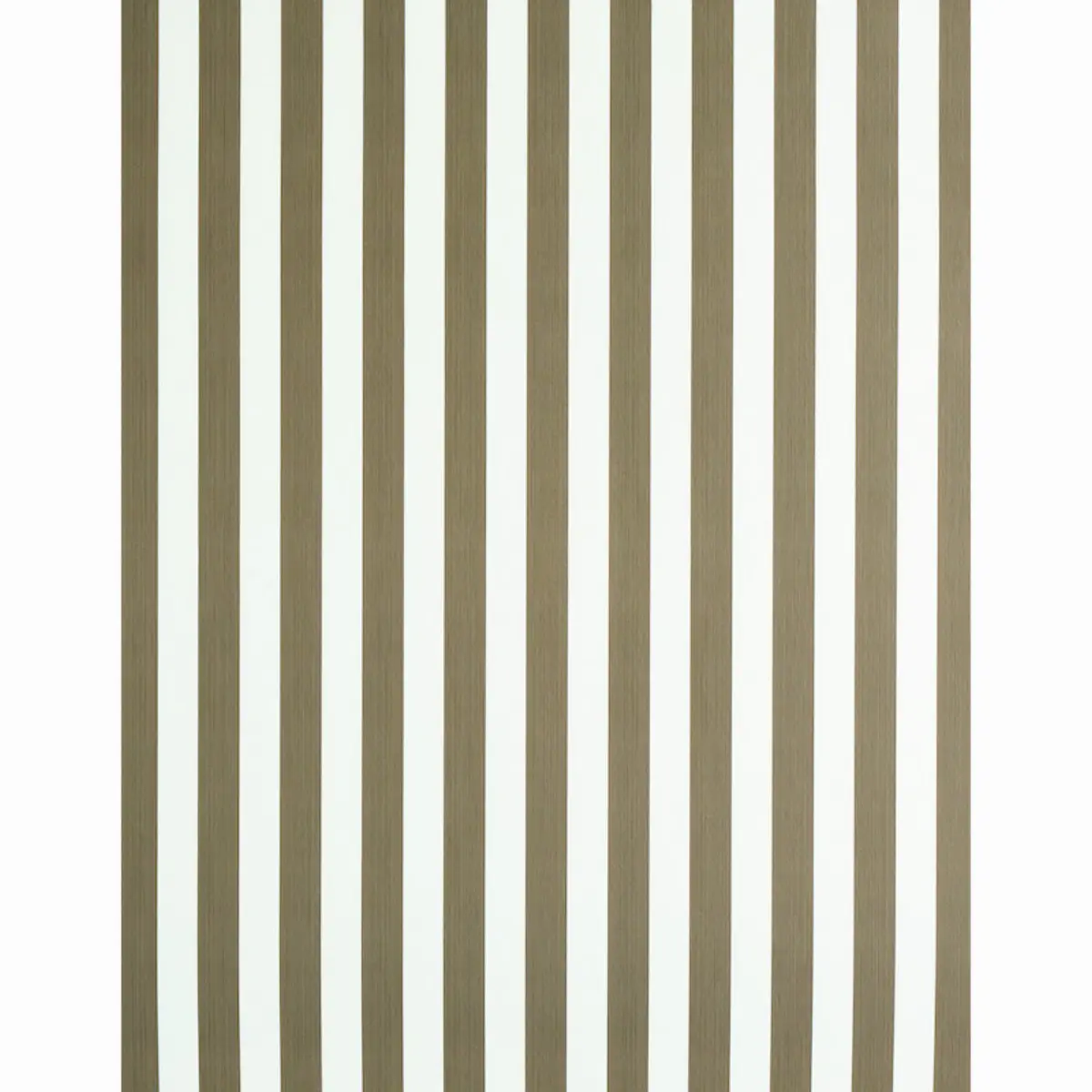 EDWIN STRIPE MEDIUM_ MUSHROOM