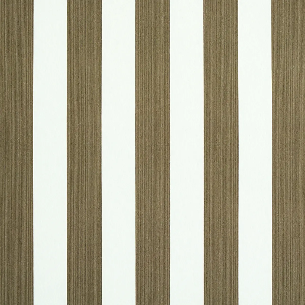 EDWIN STRIPE MEDIUM_ MUSHROOM