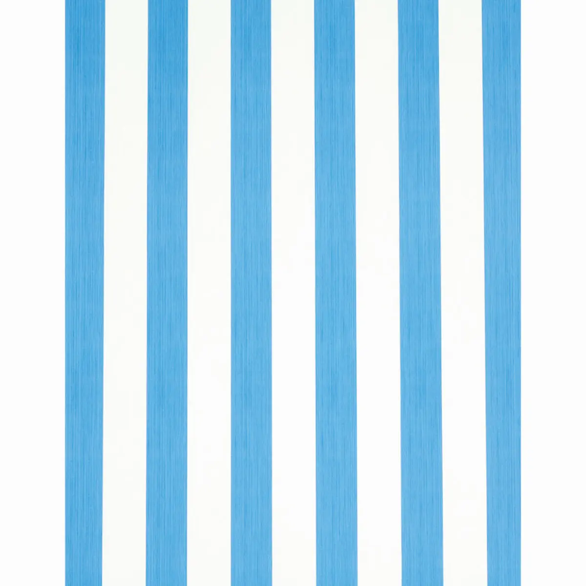 EDWIN STRIPE WIDE_ COBALT
