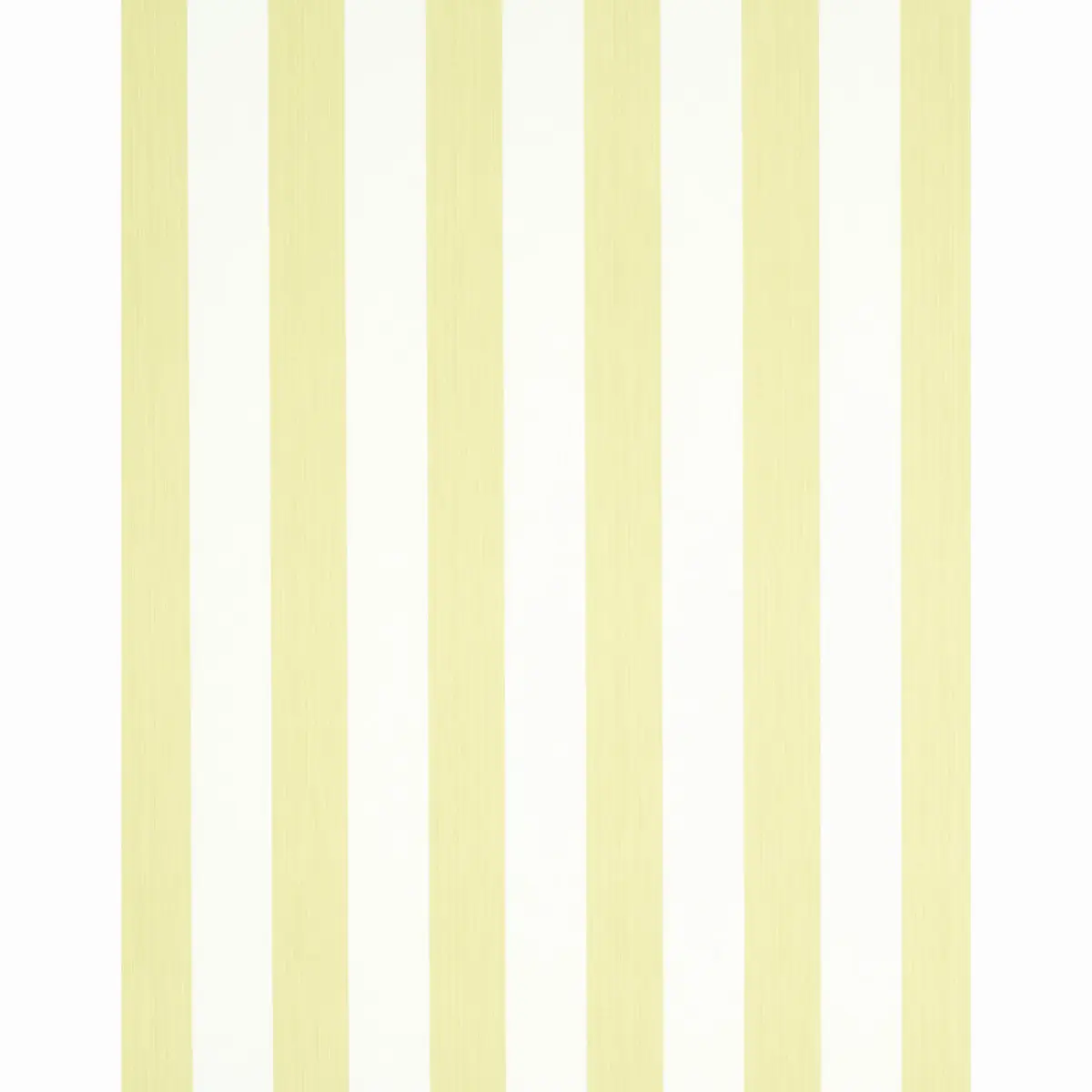 EDWIN STRIPE WIDE_ CITRON