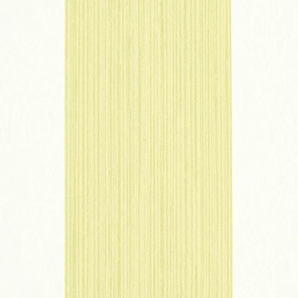 EDWIN STRIPE WIDE_ CITRON