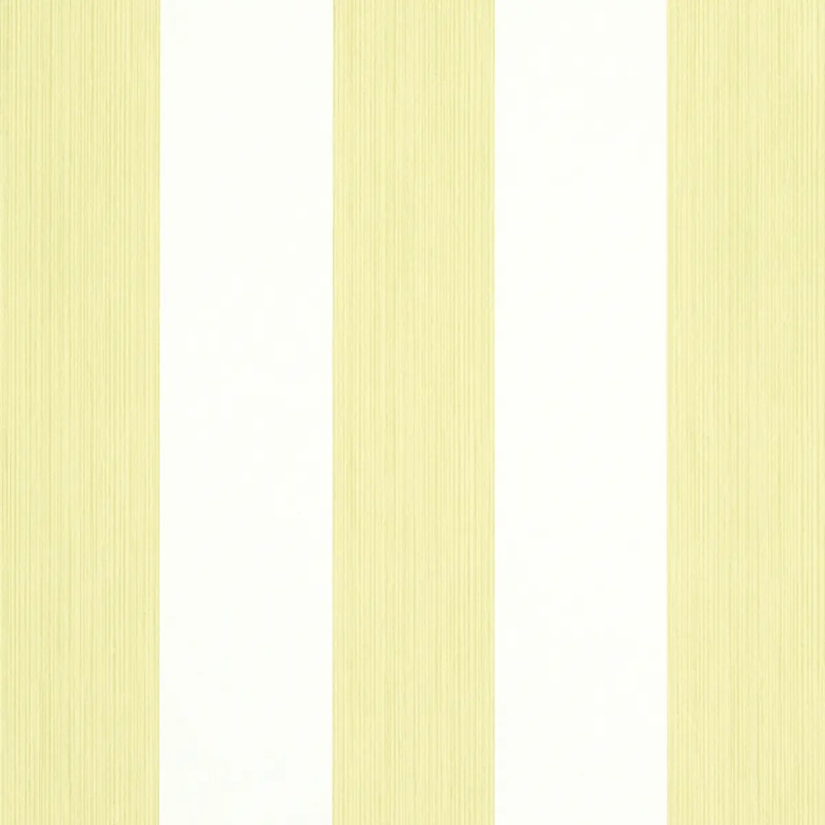 EDWIN STRIPE WIDE_ CITRON