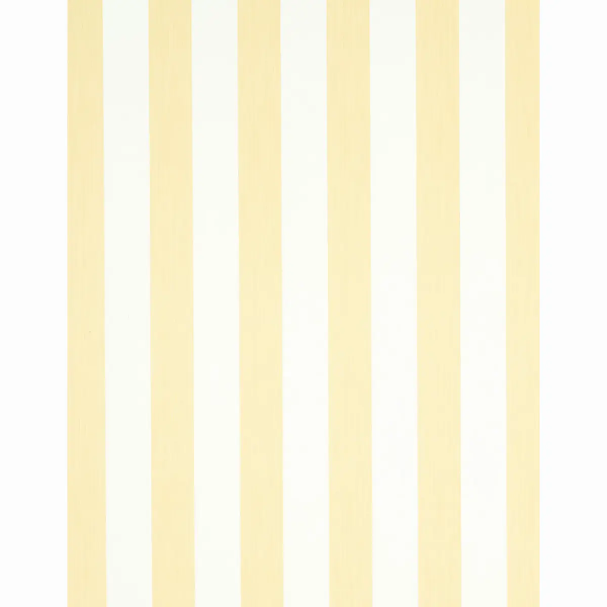 EDWIN STRIPE WIDE_ BUTTERCUP
