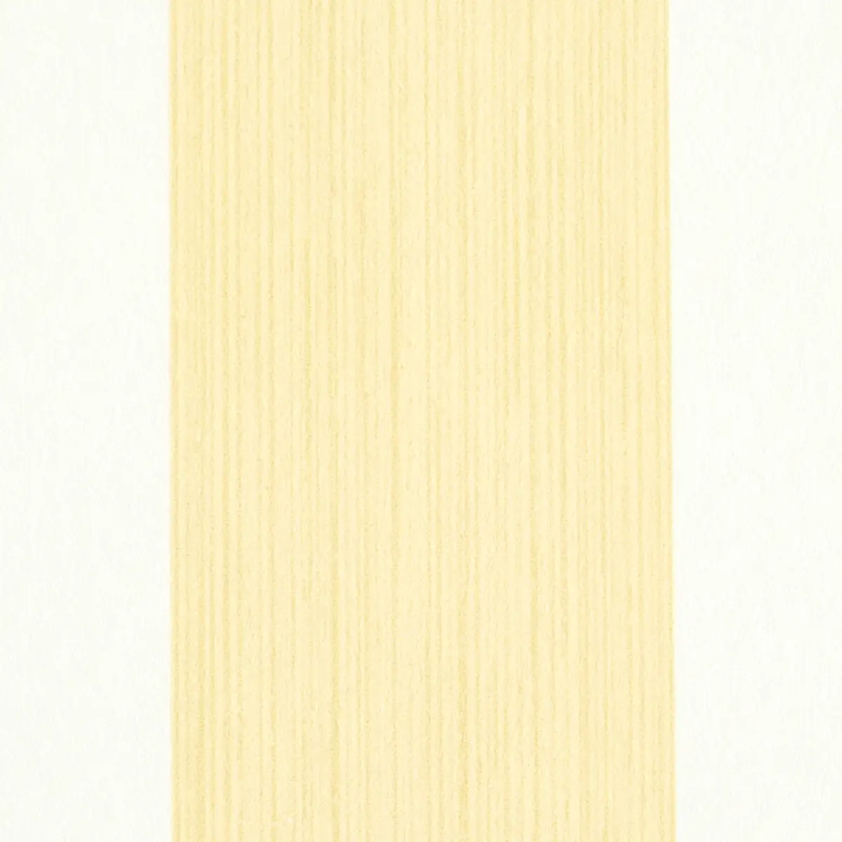EDWIN STRIPE WIDE_ BUTTERCUP