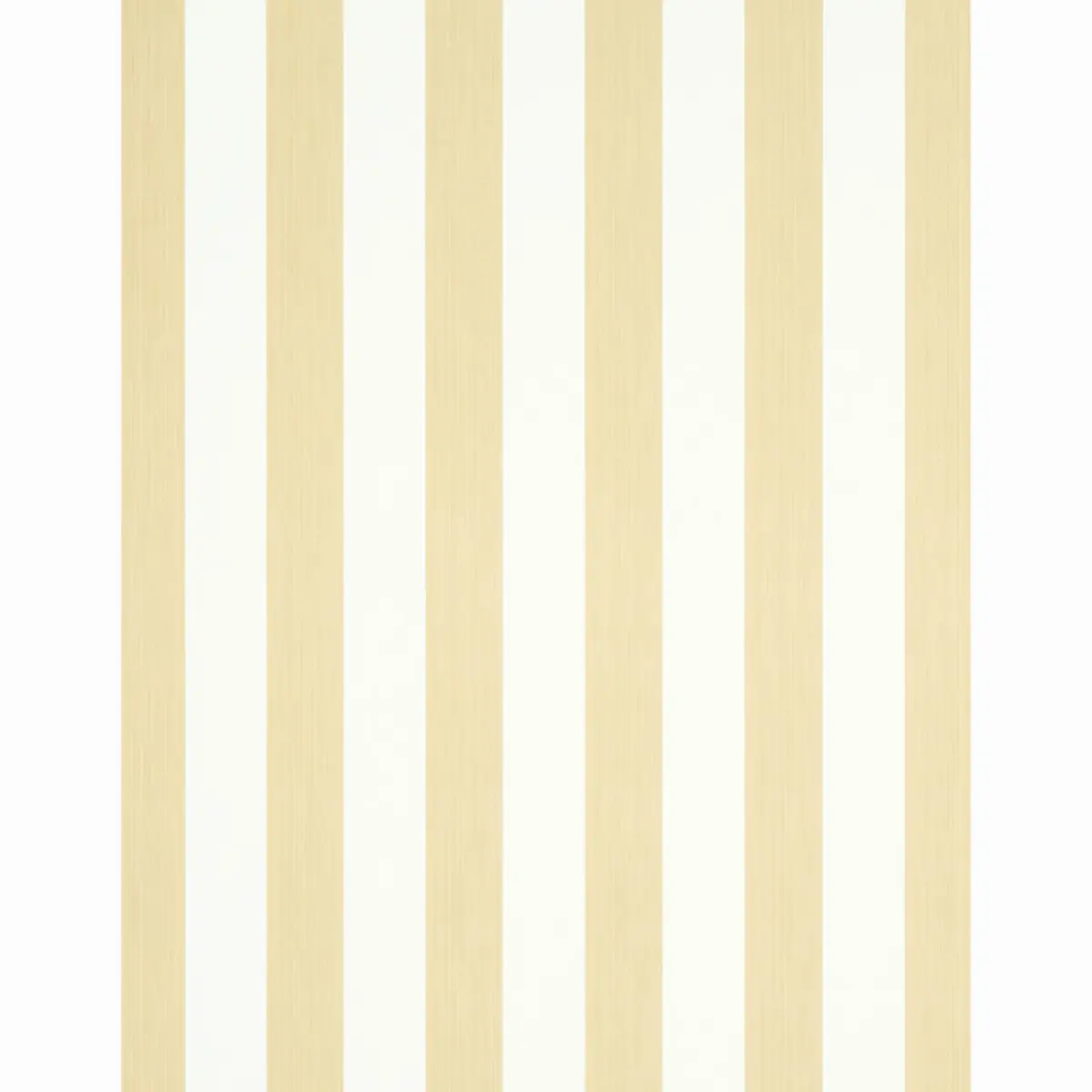 EDWIN STRIPE WIDE_ SAND