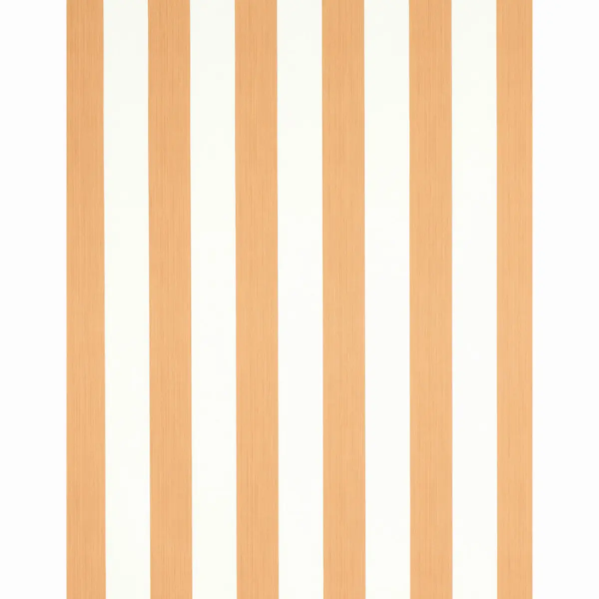 EDWIN STRIPE WIDE_ BUTTERNUT