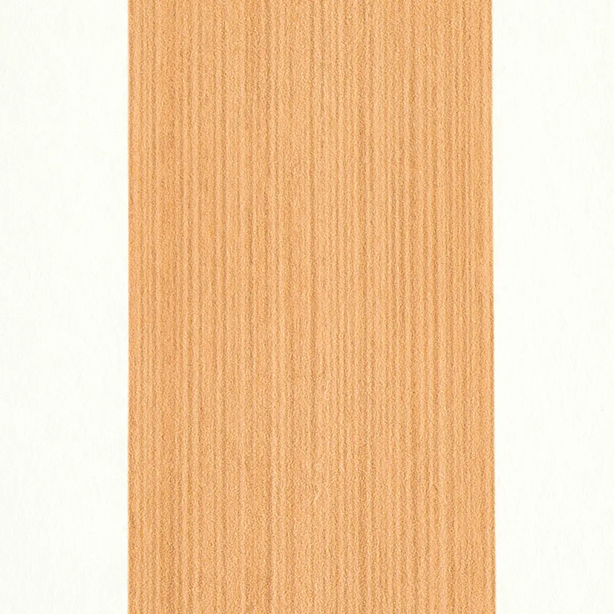 EDWIN STRIPE WIDE_ BUTTERNUT