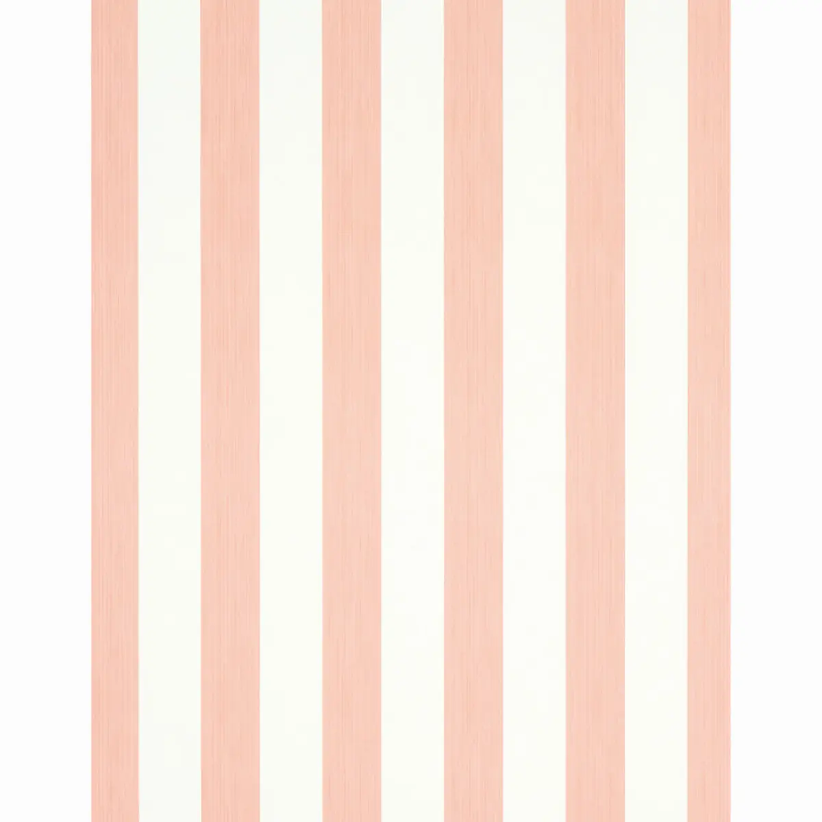 EDWIN STRIPE WIDE_ PINK