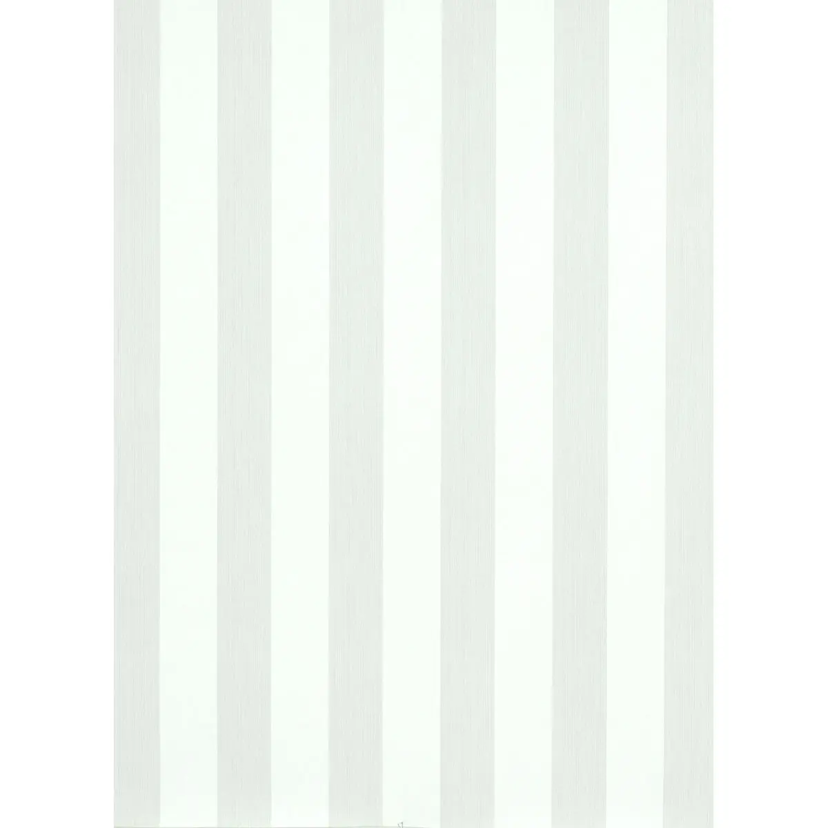 EDWIN STRIPE WIDE_ BIRCH