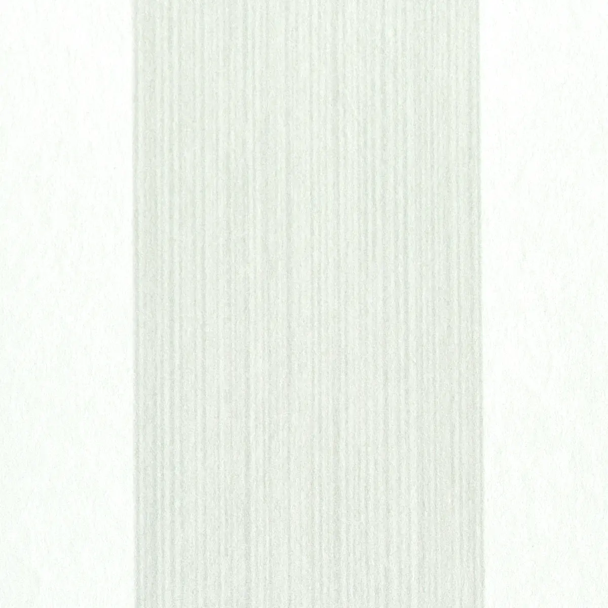 EDWIN STRIPE WIDE_ BIRCH