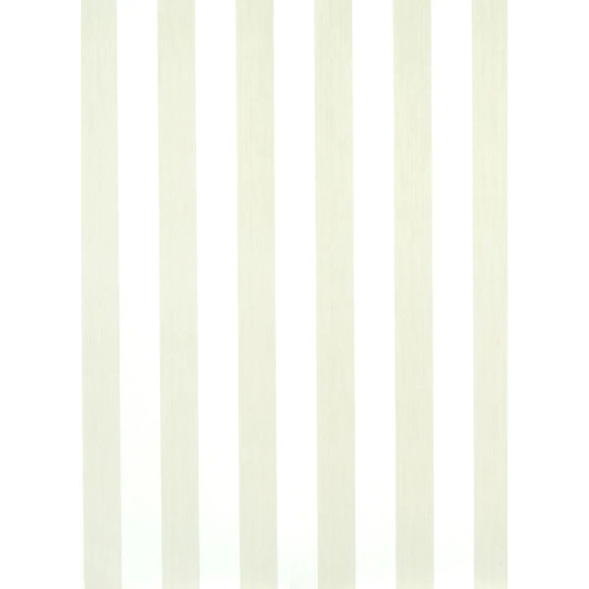 EDWIN STRIPE WIDE_ NATURELLE