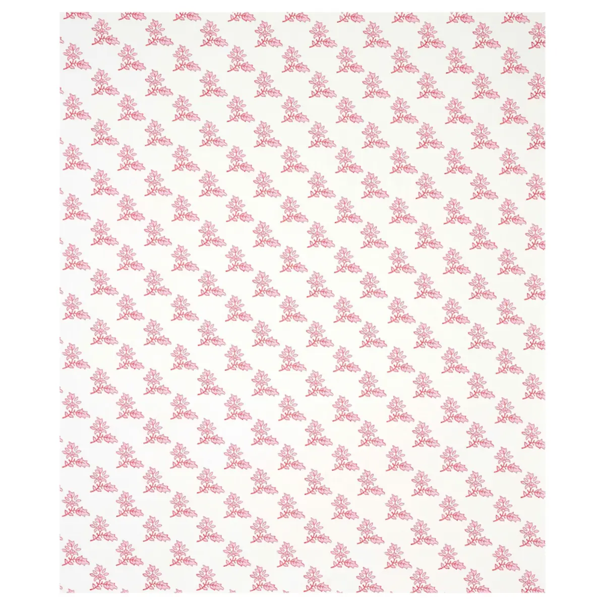 TORBAY_ PINK