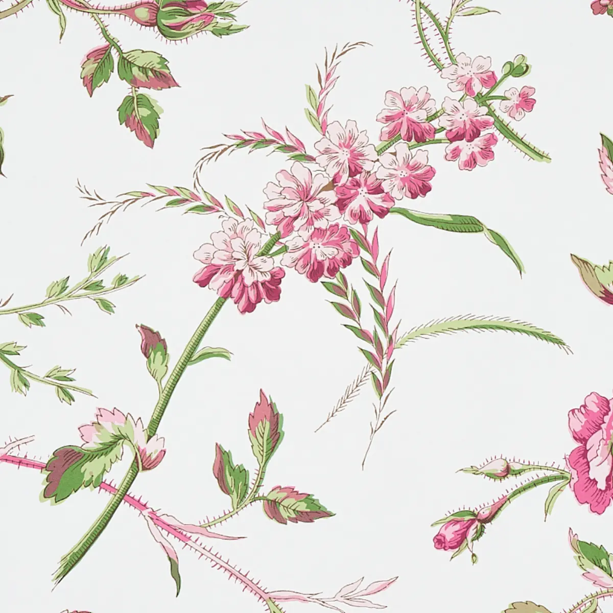 BELUZE_ MAGENTA