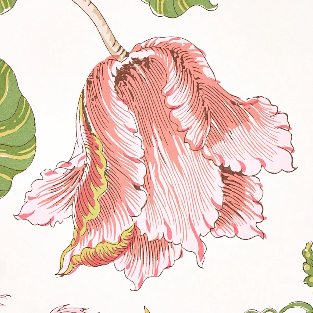 JOSEPHINE_ PINK