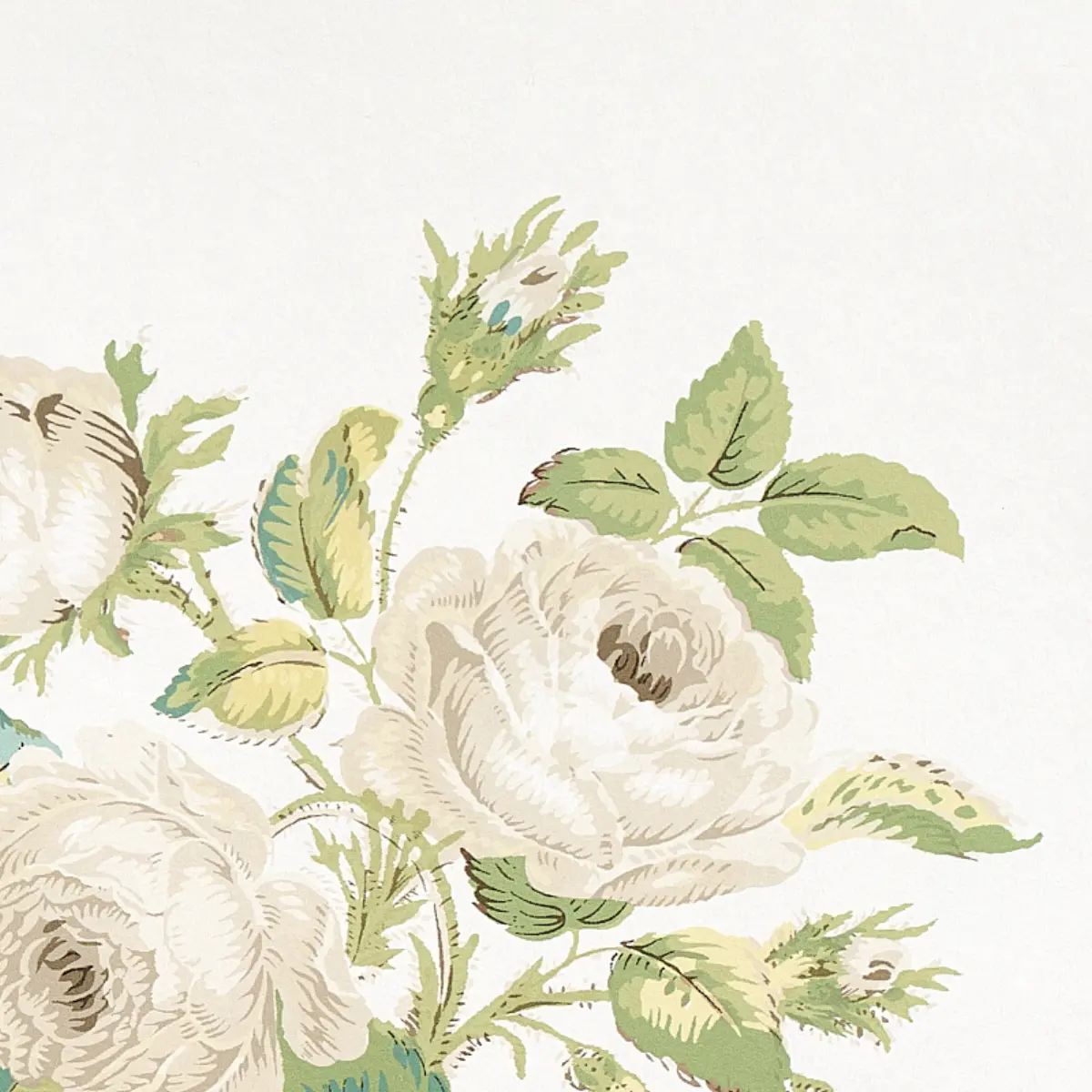 LOUDON ROSE_ IVORY
