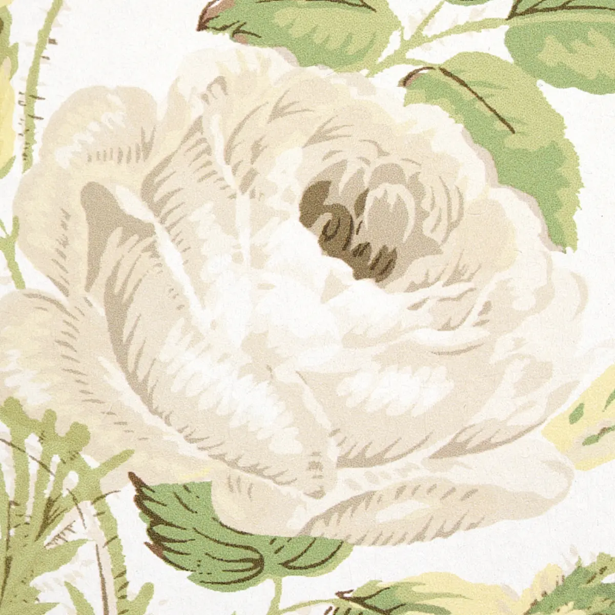 LOUDON ROSE_ IVORY