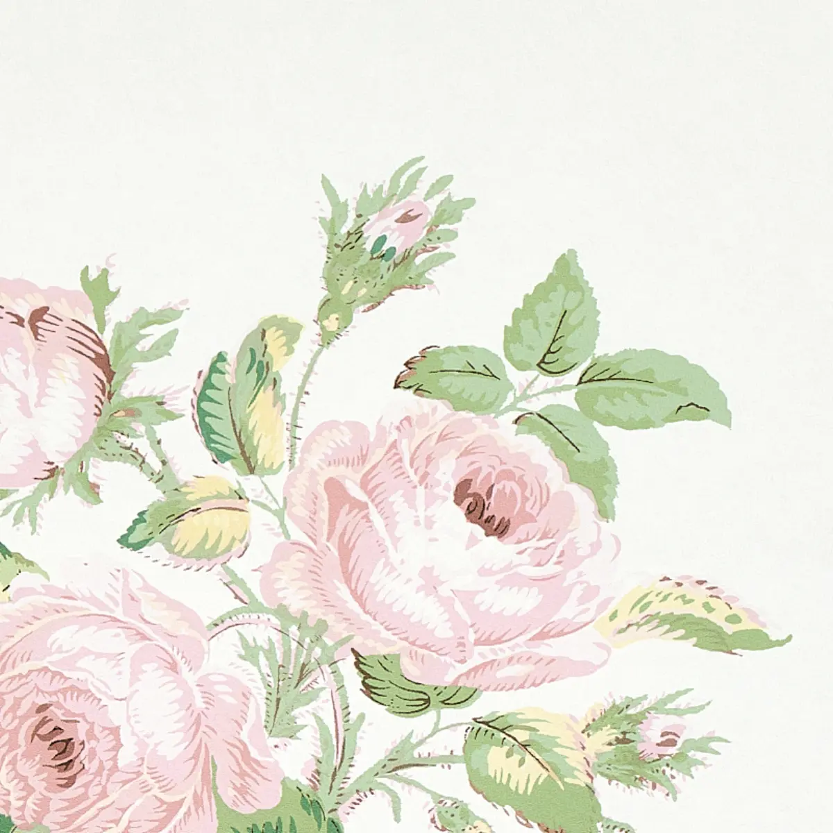 LOUDON ROSE_ BLUSH