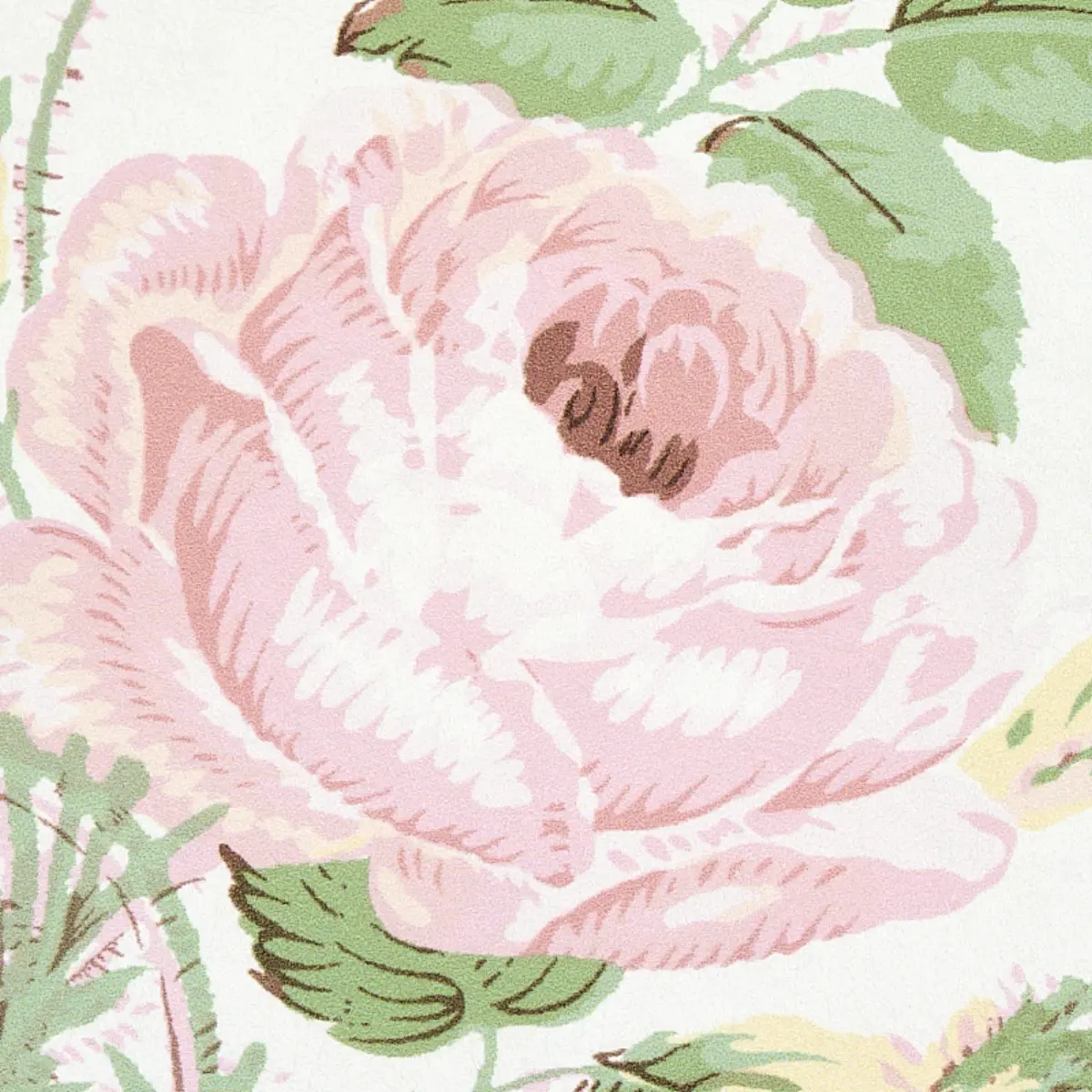 LOUDON ROSE_ BLUSH