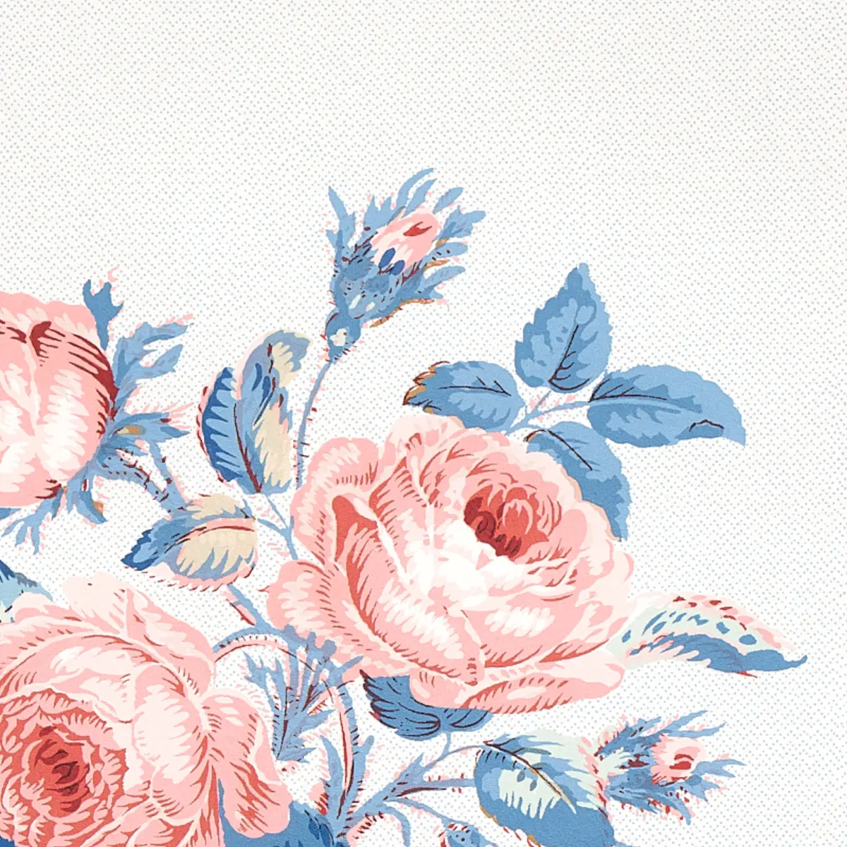LOUDON ROSE_ ROSE & BLUE
