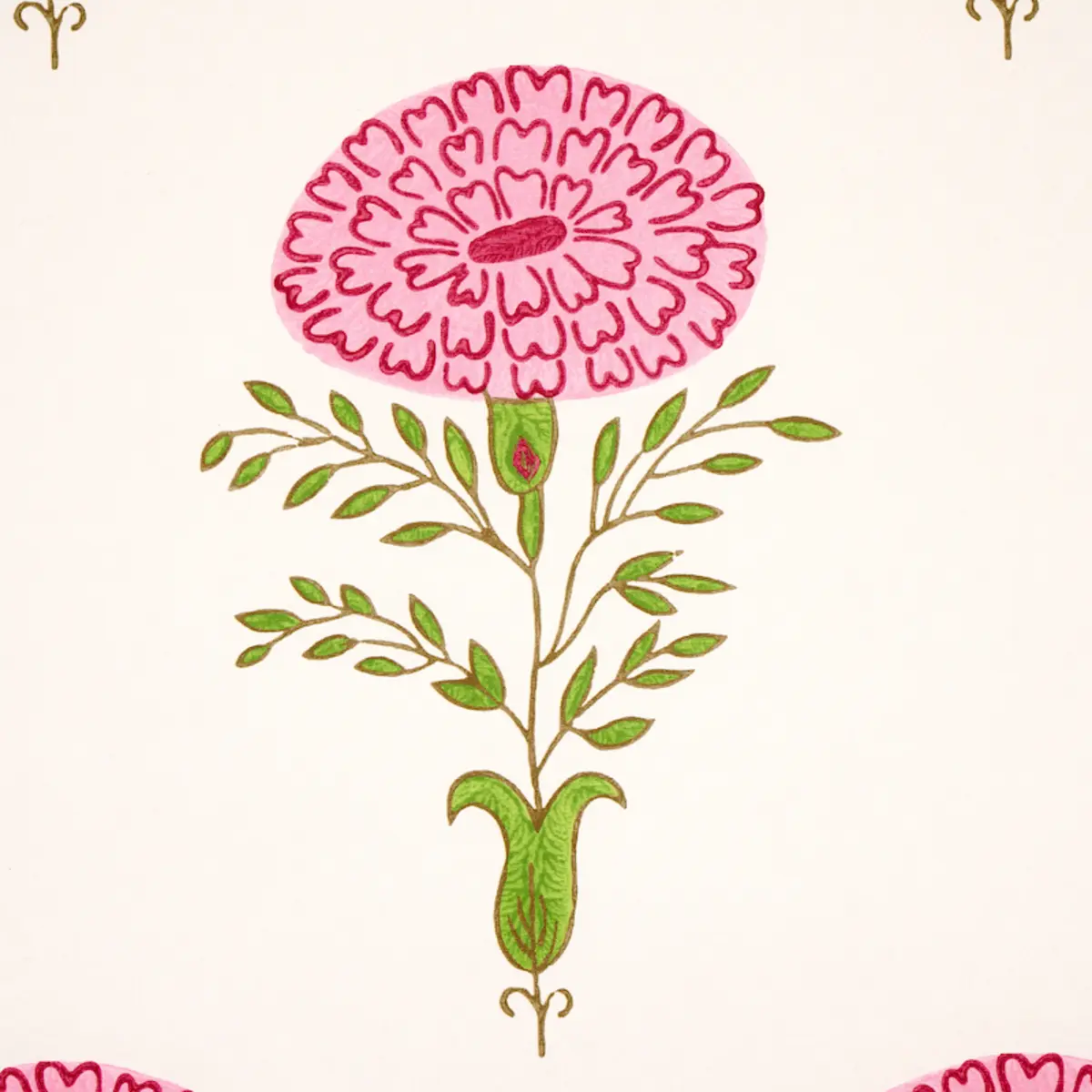Marigold_ PINK
