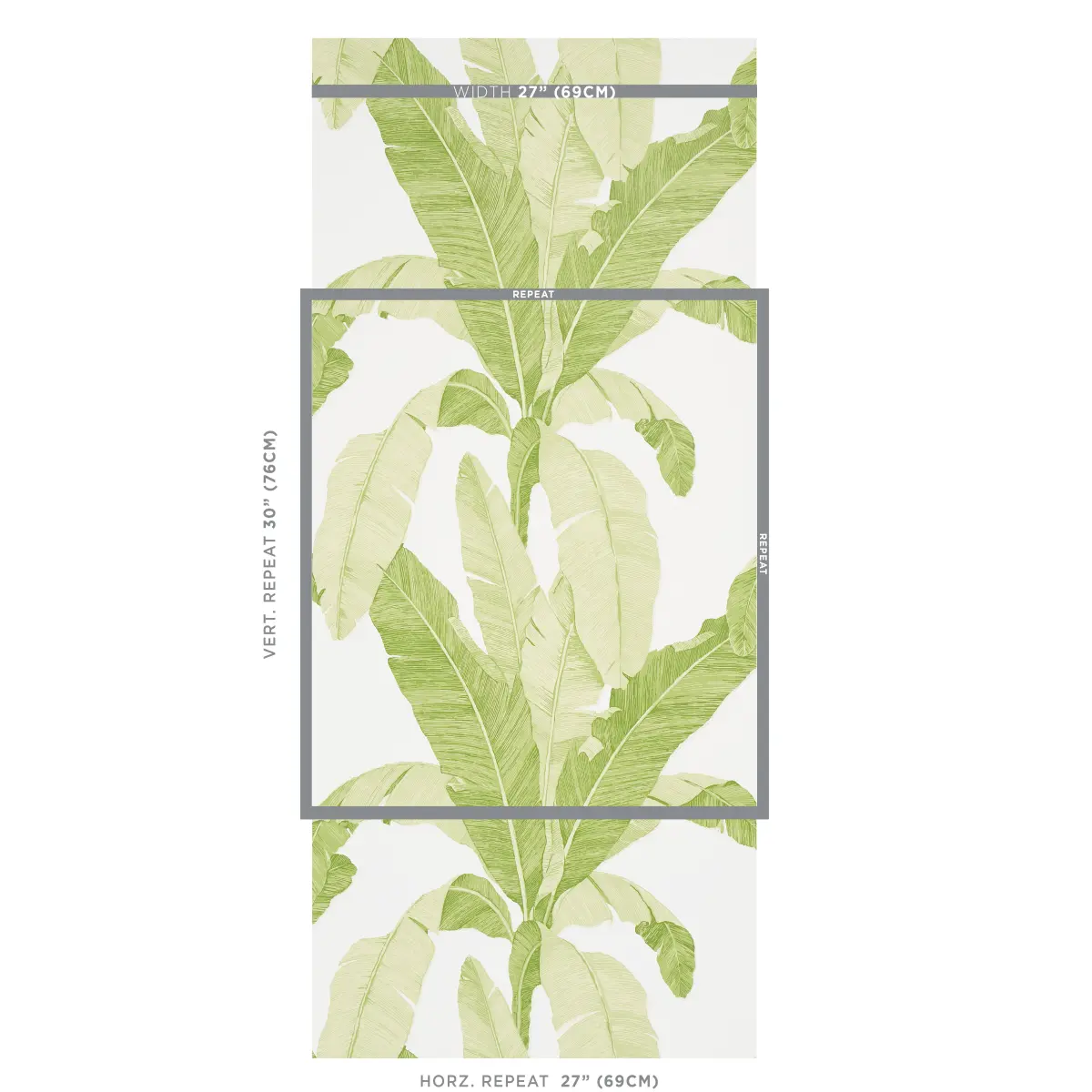 ERISIMO_ LEAF