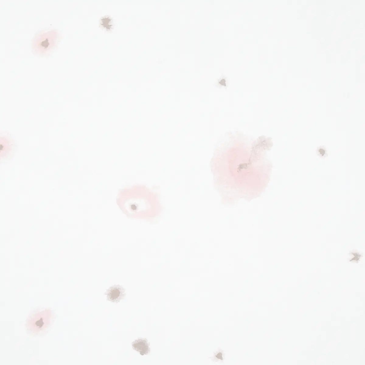 STELLAR_ BLUSH