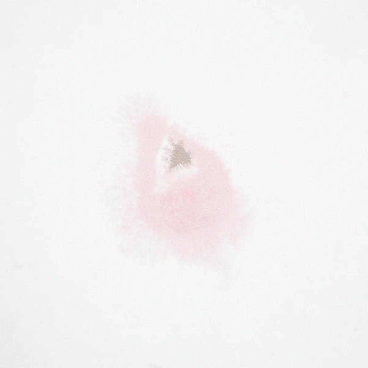STELLAR_ BLUSH