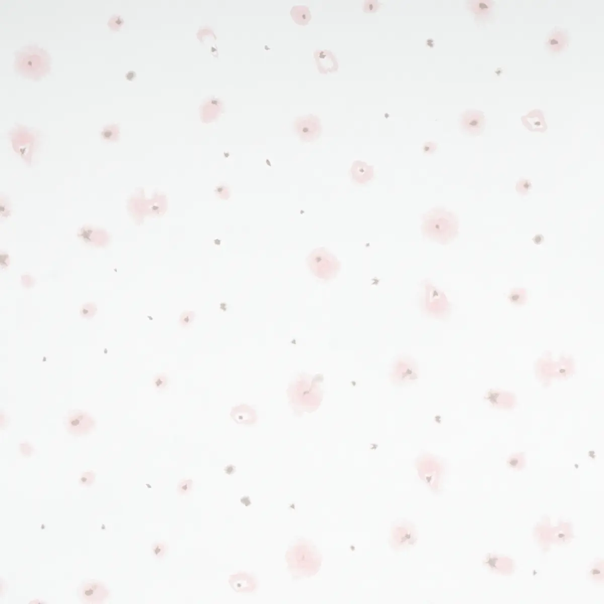 STELLAR_ BLUSH