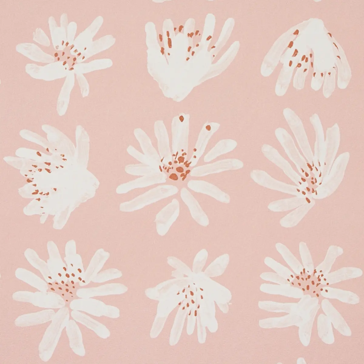 MEADOW ROCK_ BLUSH