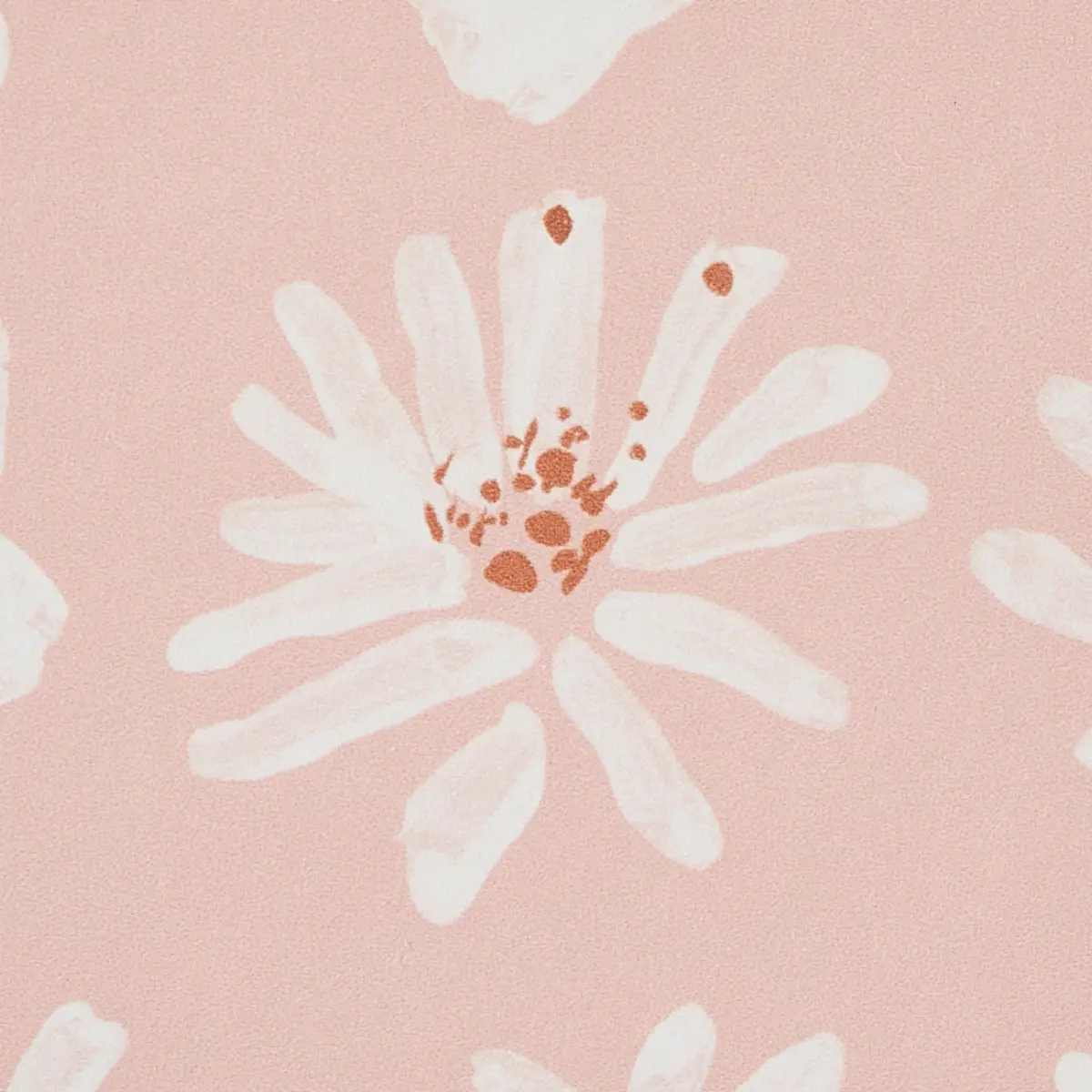 MEADOW ROCK_ BLUSH