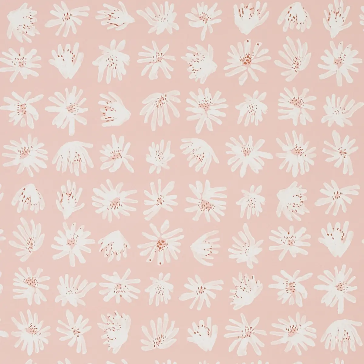 MEADOW ROCK_ BLUSH