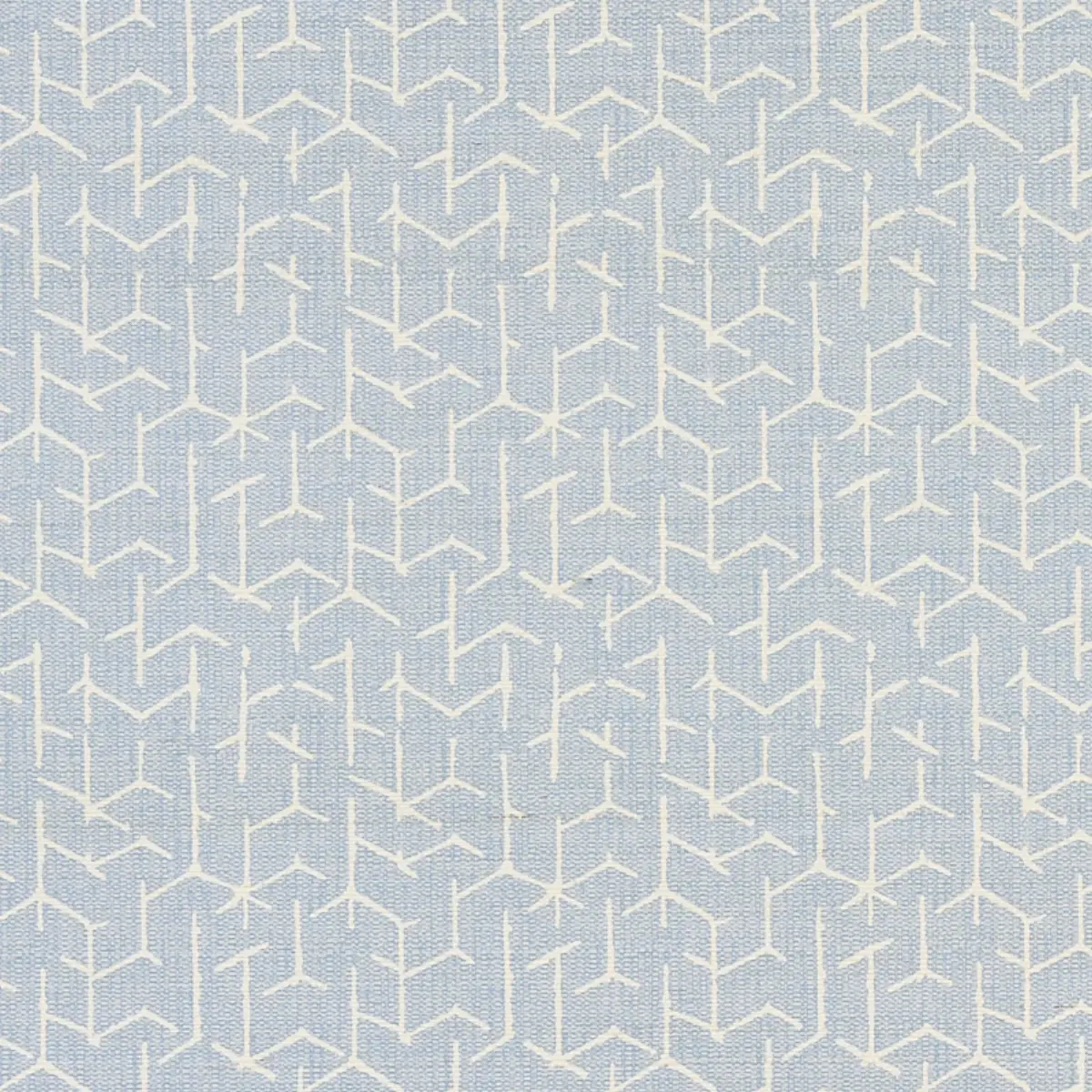 COLERIDGE_ CHAMBRAY