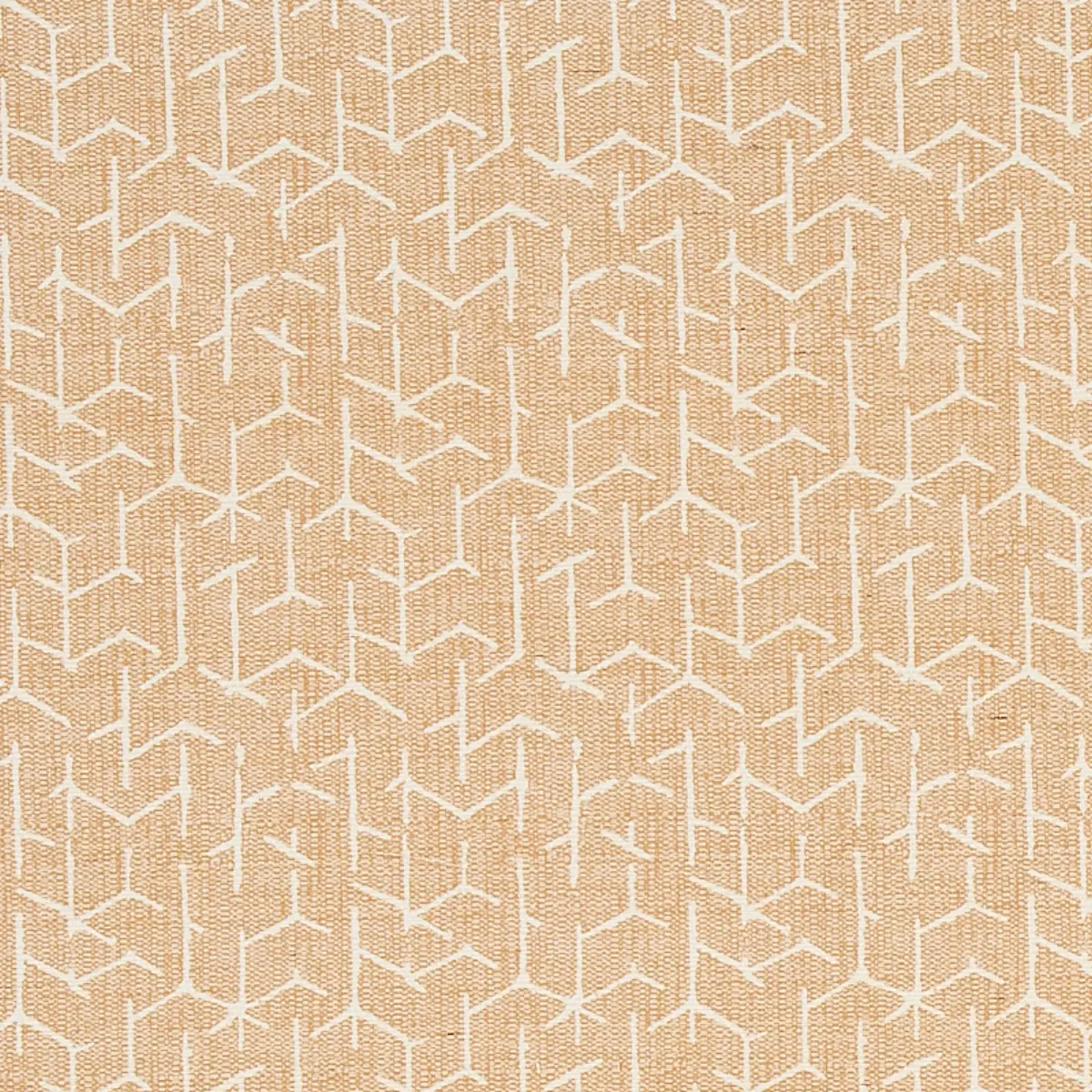 COLERIDGE_ WHEAT