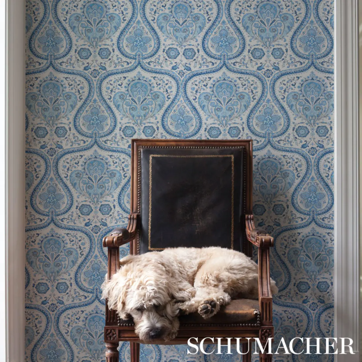 PAISLEY COURT_ BLUE