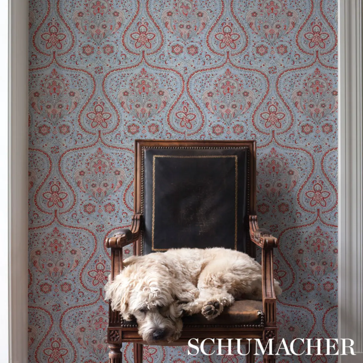 PAISLEY COURT_ CHAMBRAY