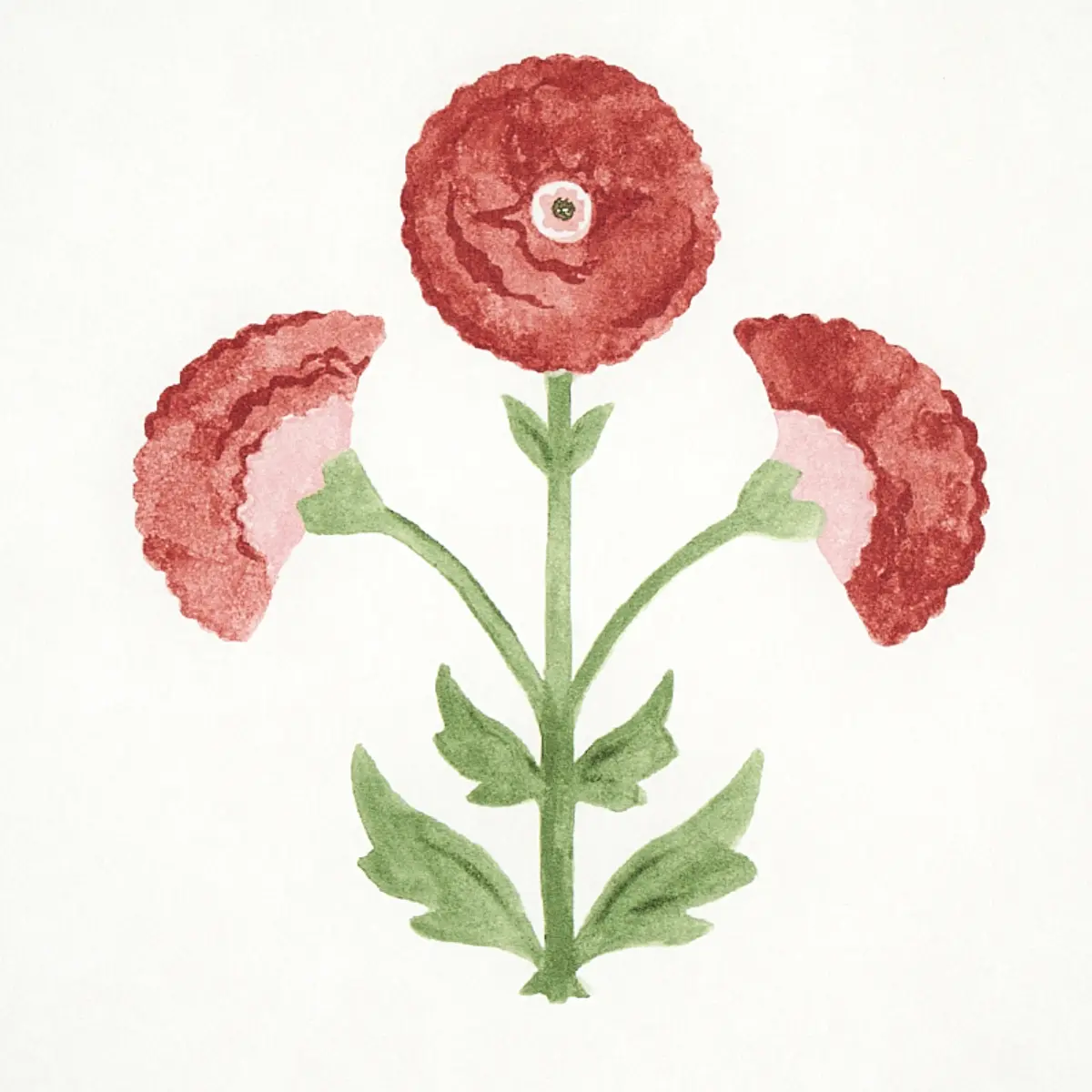 SARANDA FLOWER_ CARDINAL