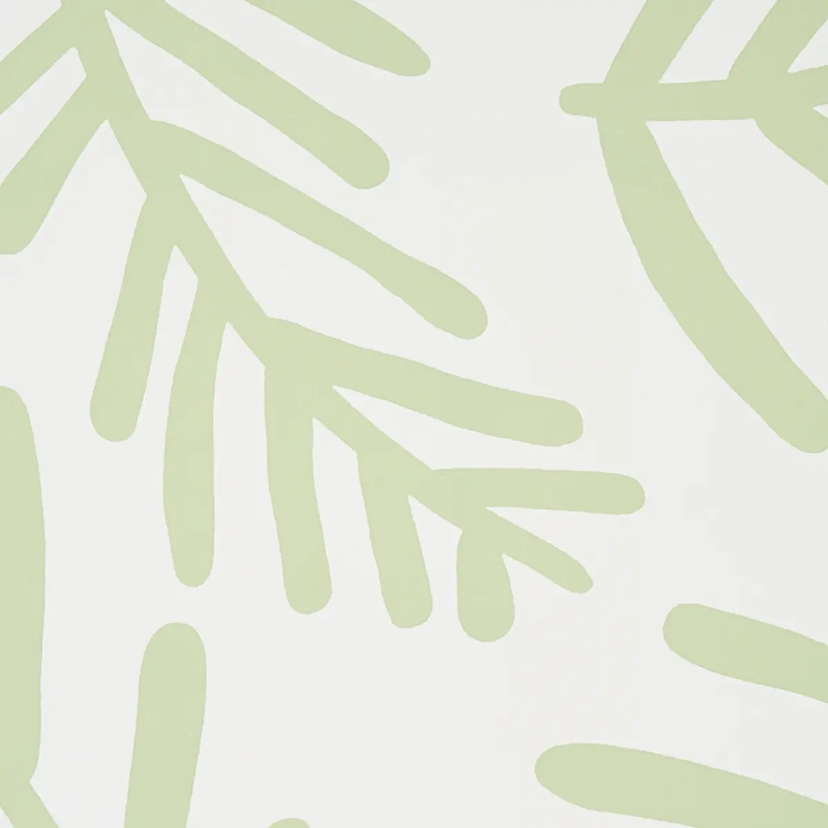 TIAH COVE_ SAGE LEAF