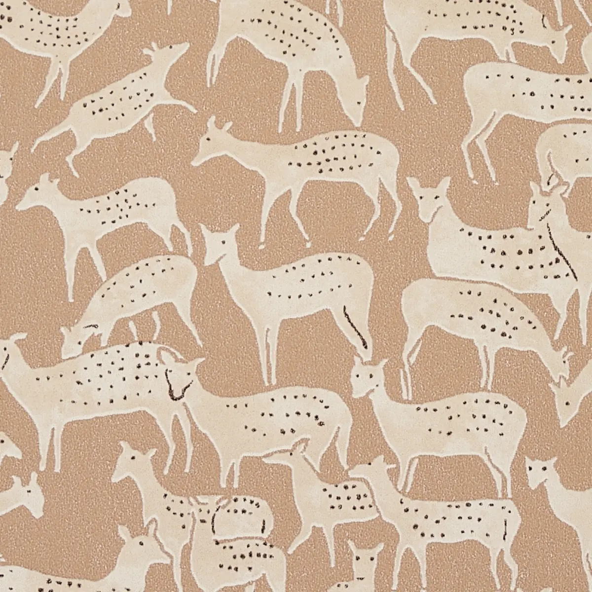 Fauna_ FAWN