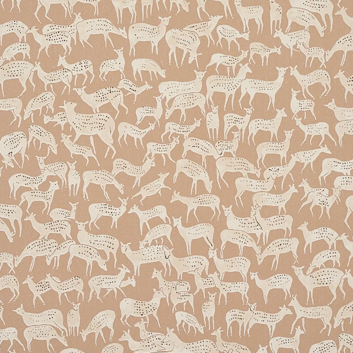 Fauna_ FAWN